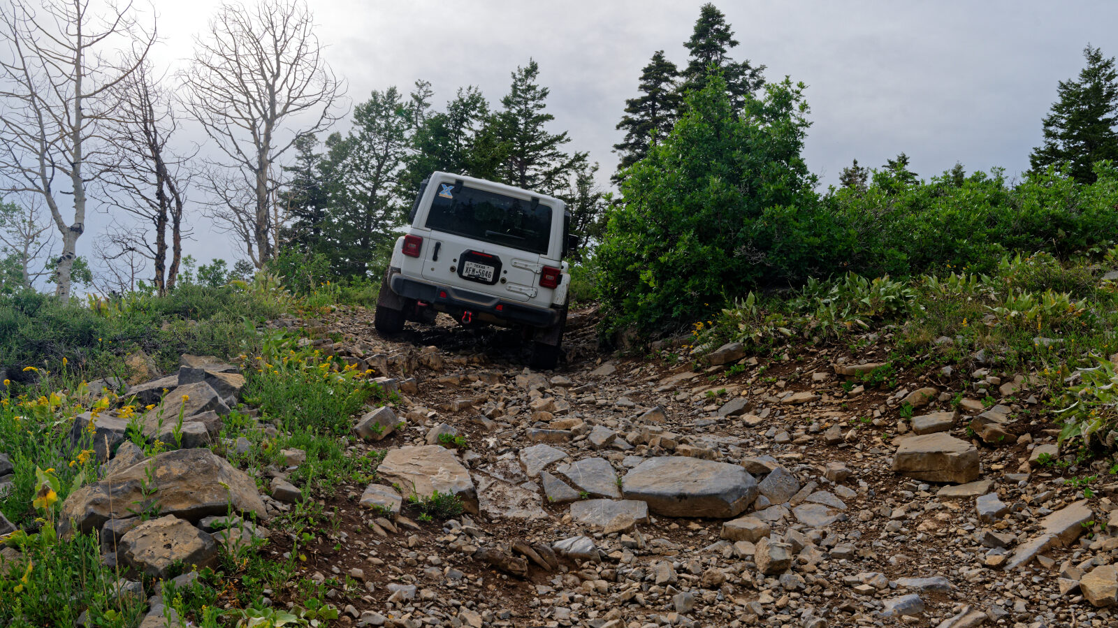 Waypoint 5