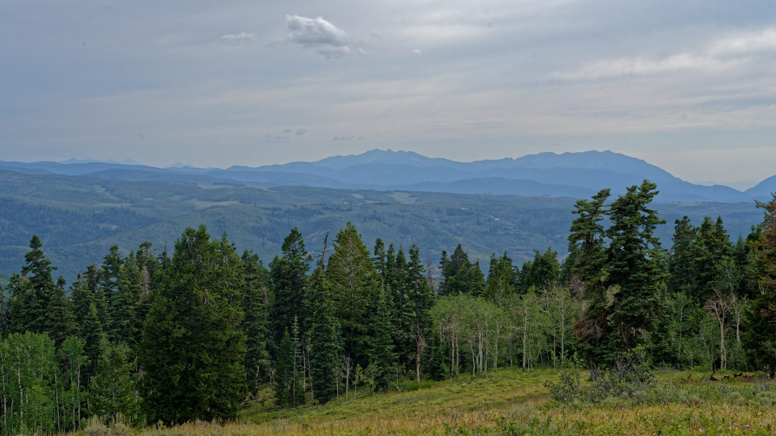 Waypoint 4