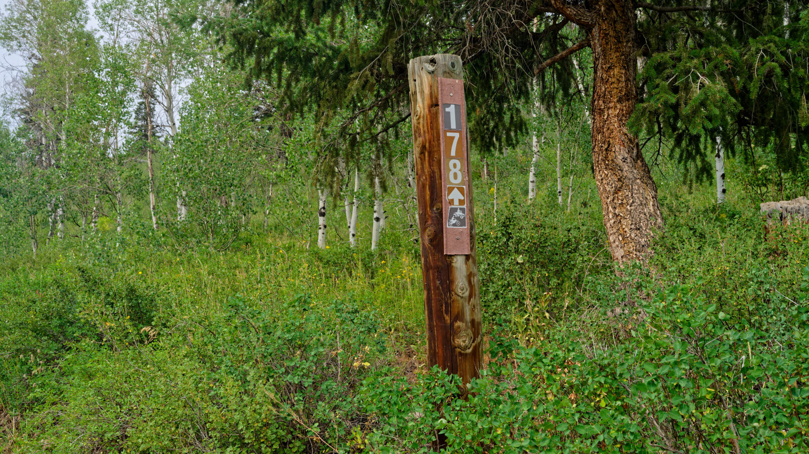 Waypoint 1