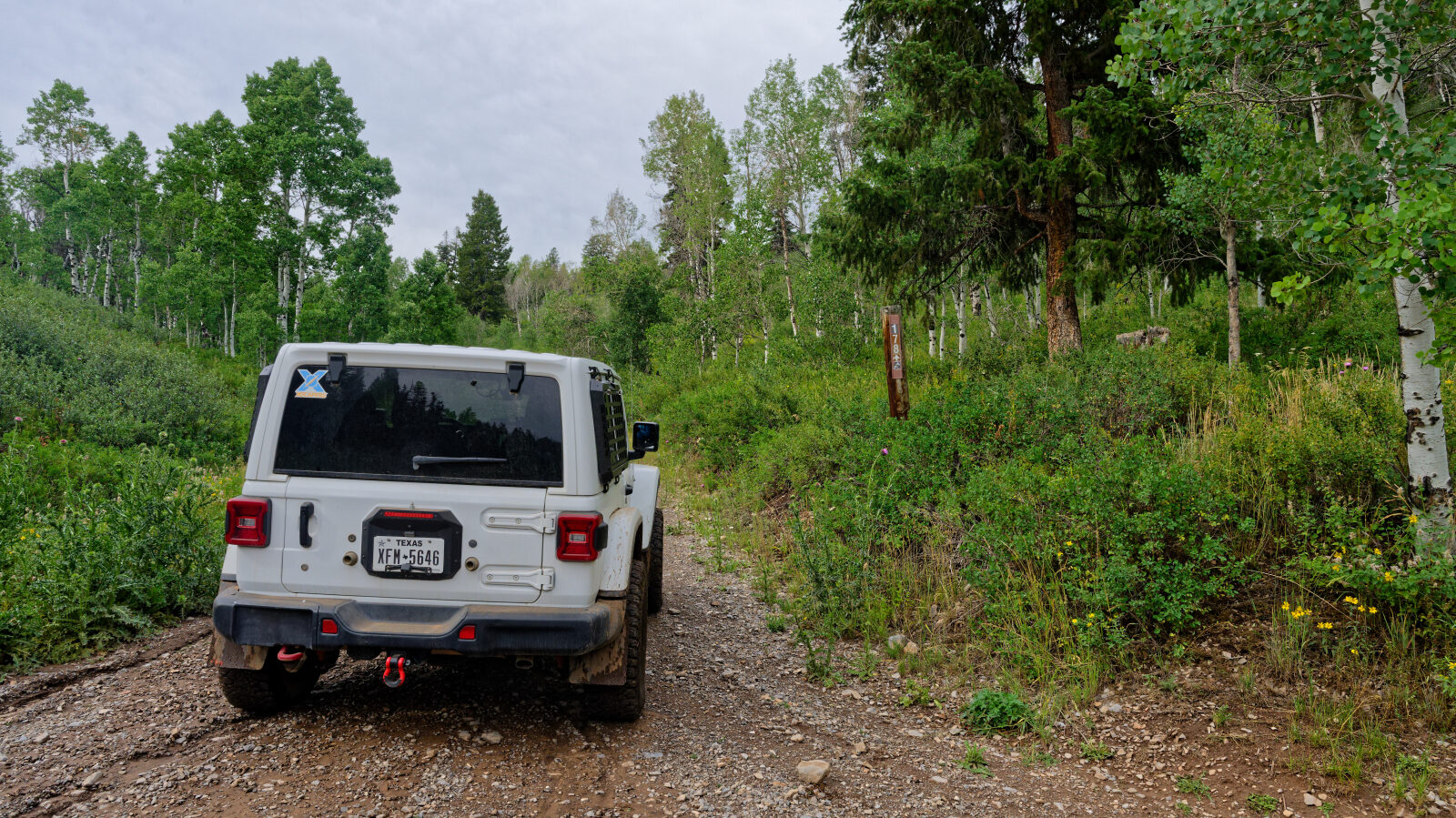 Waypoint 1