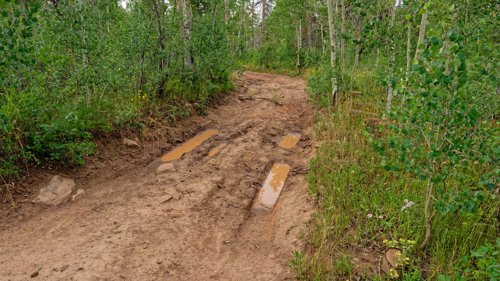 Waypoint 3