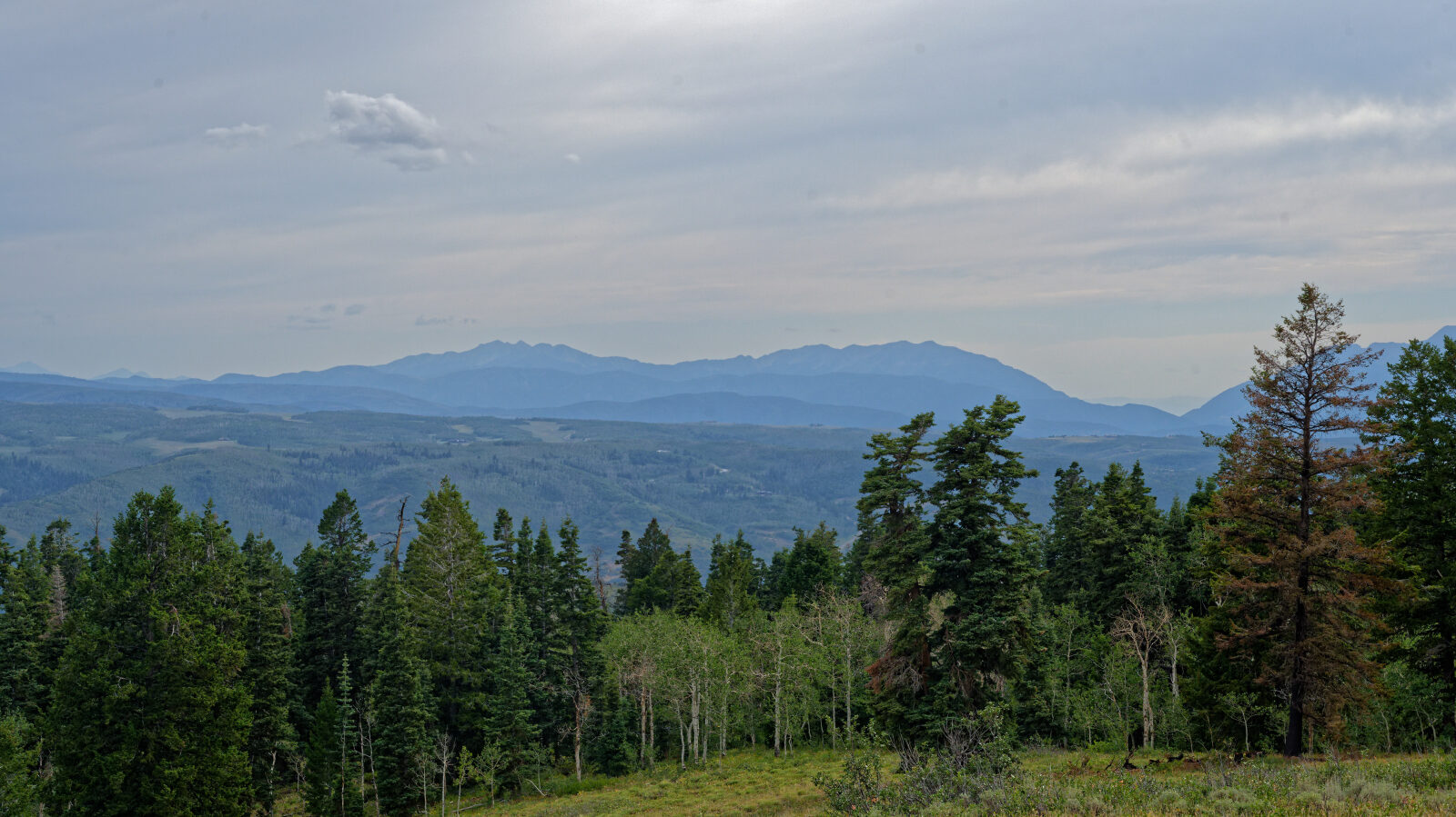 Waypoint 4