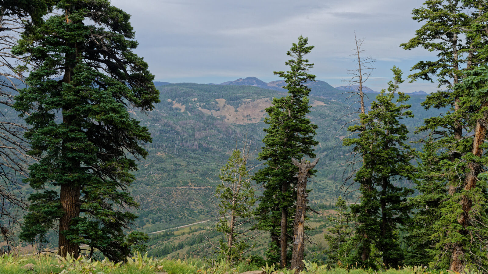 Waypoint 5
