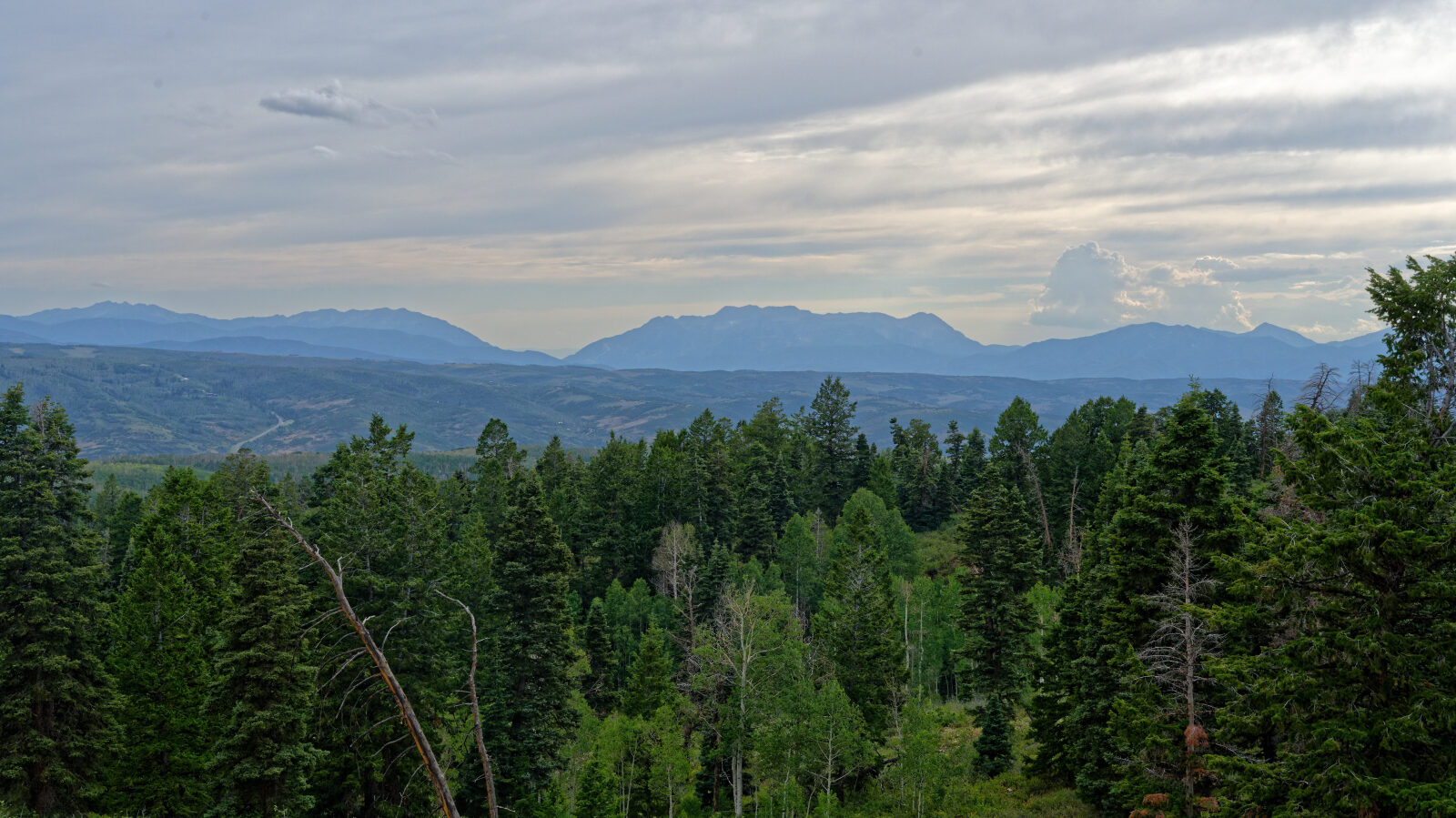 Waypoint 6