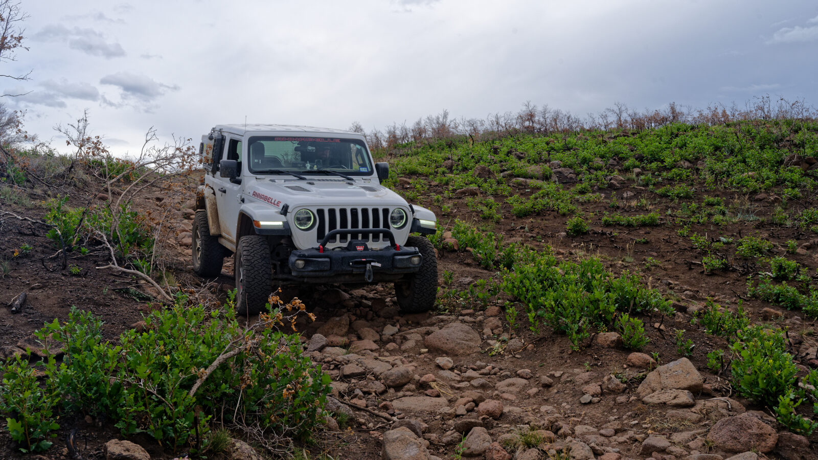 This is the hardest part of the trail, a rocky stretch of about three hundred yards at most.