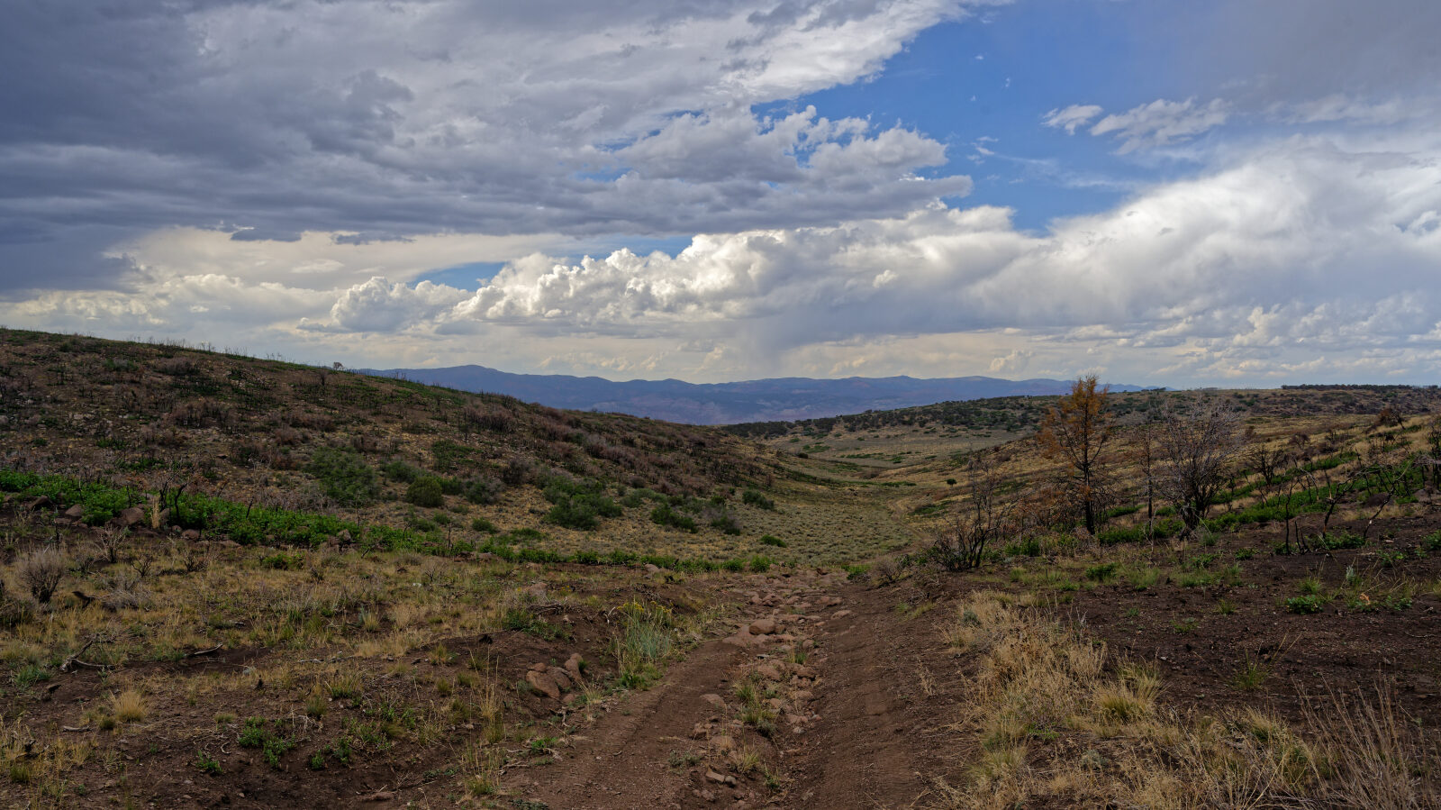 This is the hardest part of the trail, a rocky stretch of about three hundred yards at most.