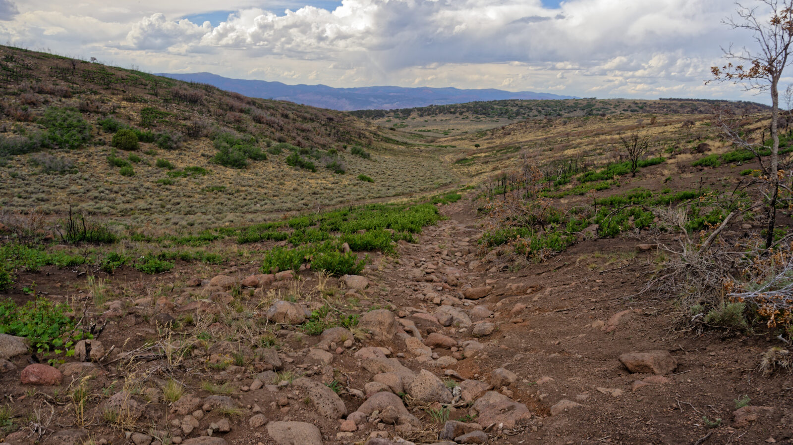 This is the hardest part of the trail, a rocky stretch of about three hundred yards at most.