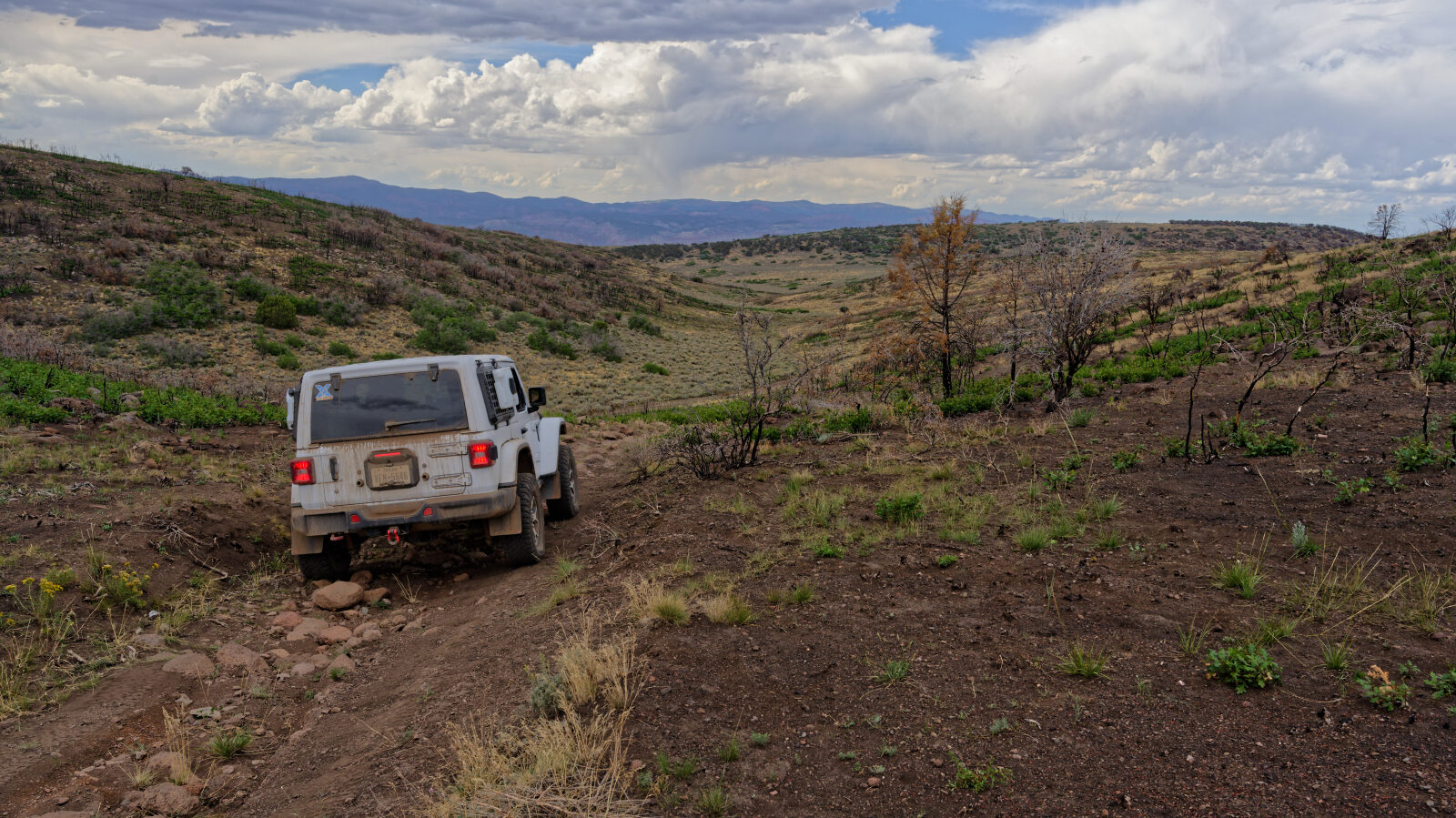 This is the hardest part of the trail, a rocky stretch of about three hundred yards at most.