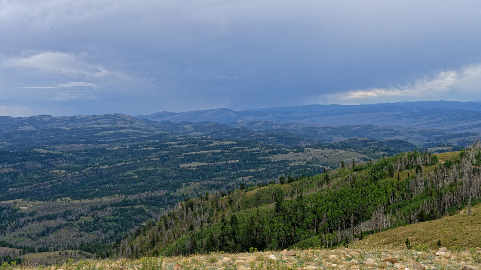 Waypoint 3