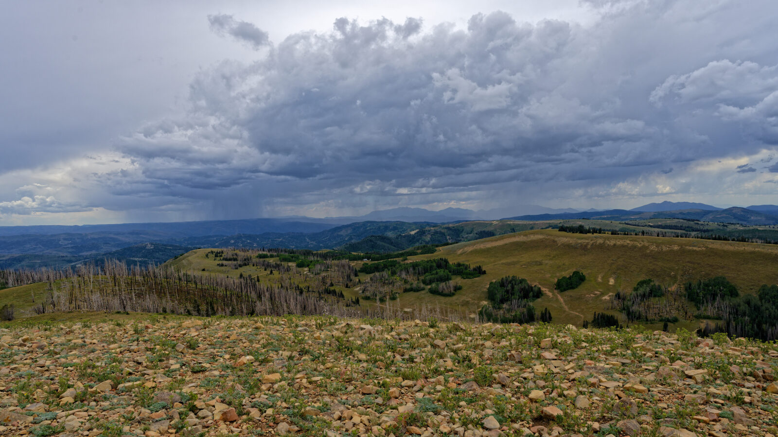 Waypoint 3