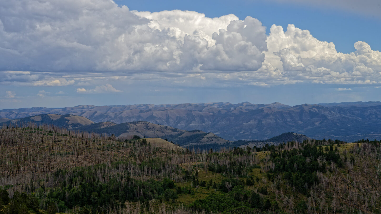 Waypoint 3