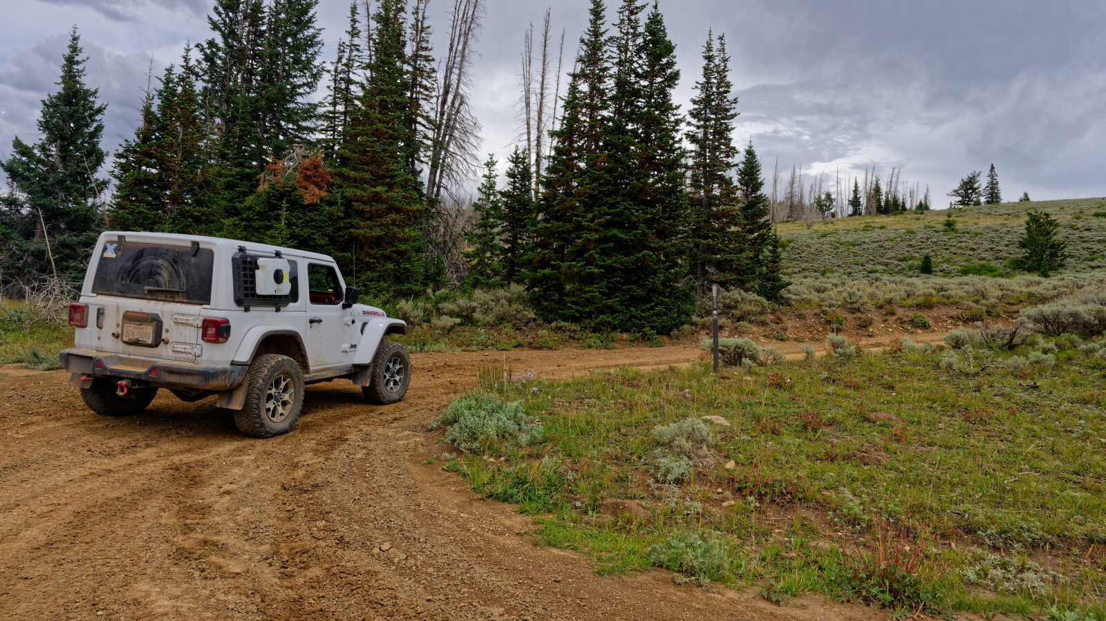 This is the start of trail 10200. The driver first thought it was Strawberry Ridge Road, but the name is to be confirmed.