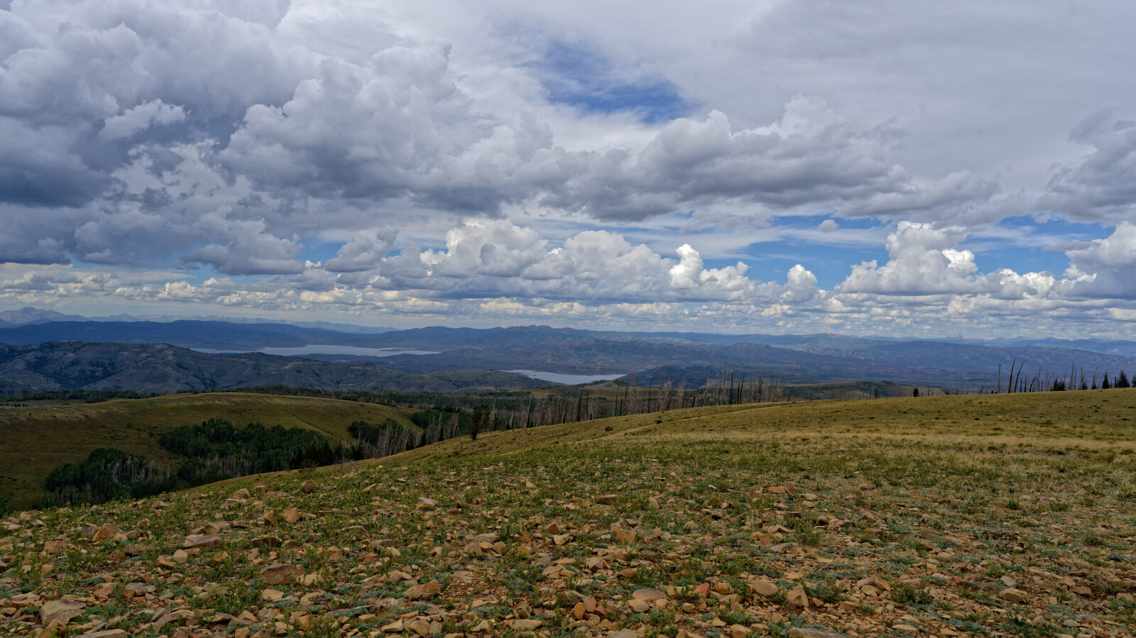 Waypoint 2
