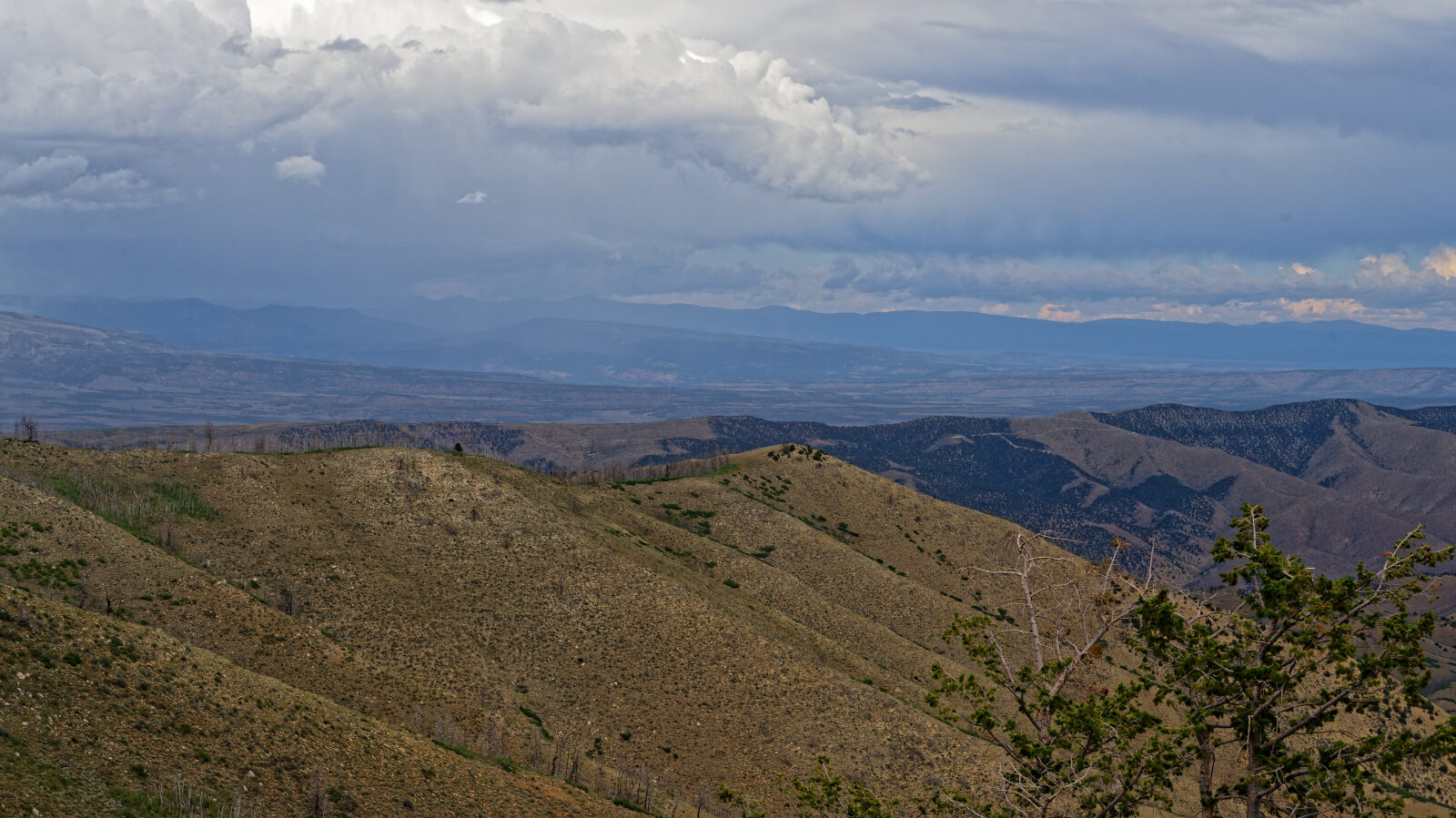 Waypoint 9