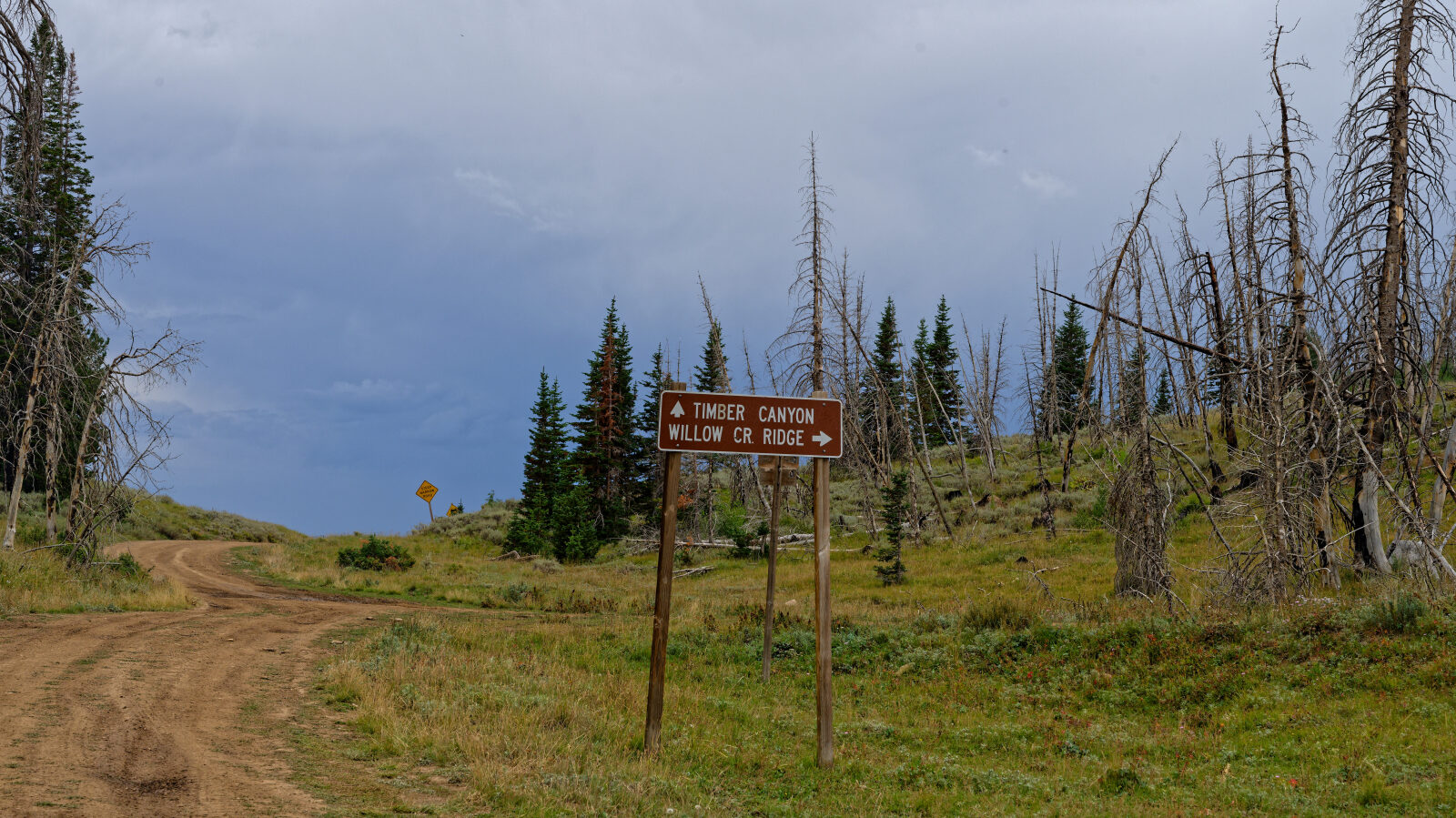 This is the start of trail 10200. The driver first thought it was Strawberry Ridge Road, but the name is to be confirmed.