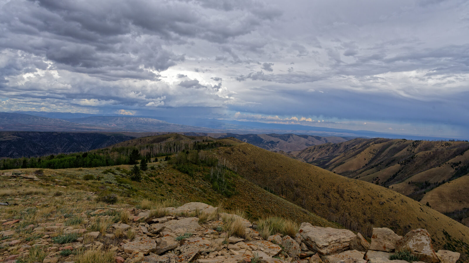 Waypoint 7