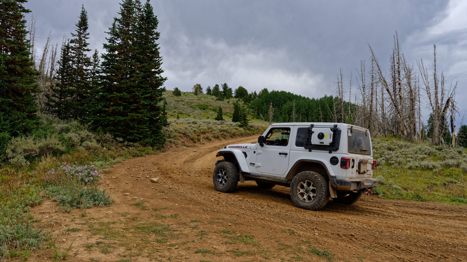 This is the start of trail 10200. The driver first thought it was Strawberry Ridge Road, but the name is to be confirmed.