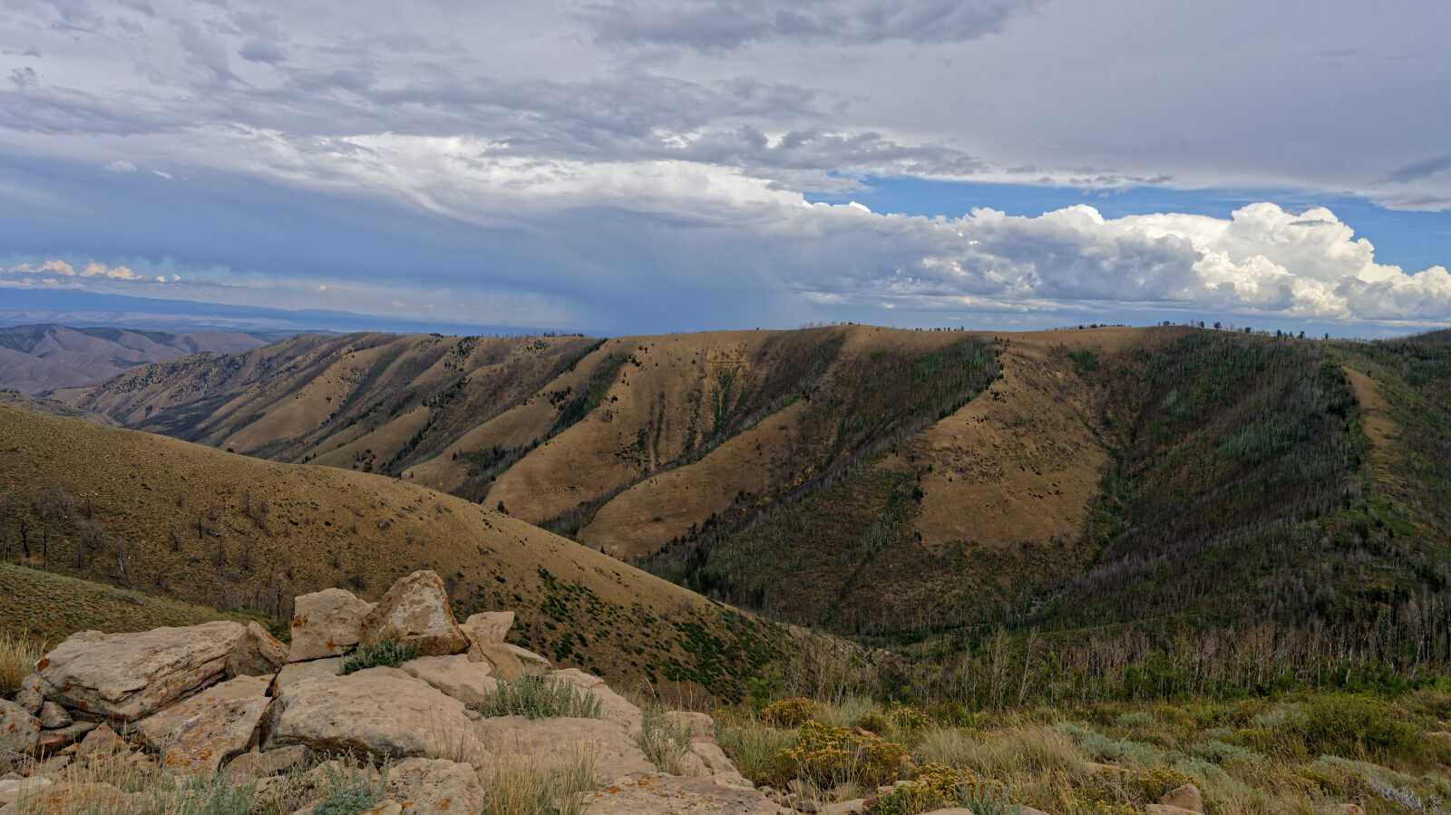 Waypoint 7