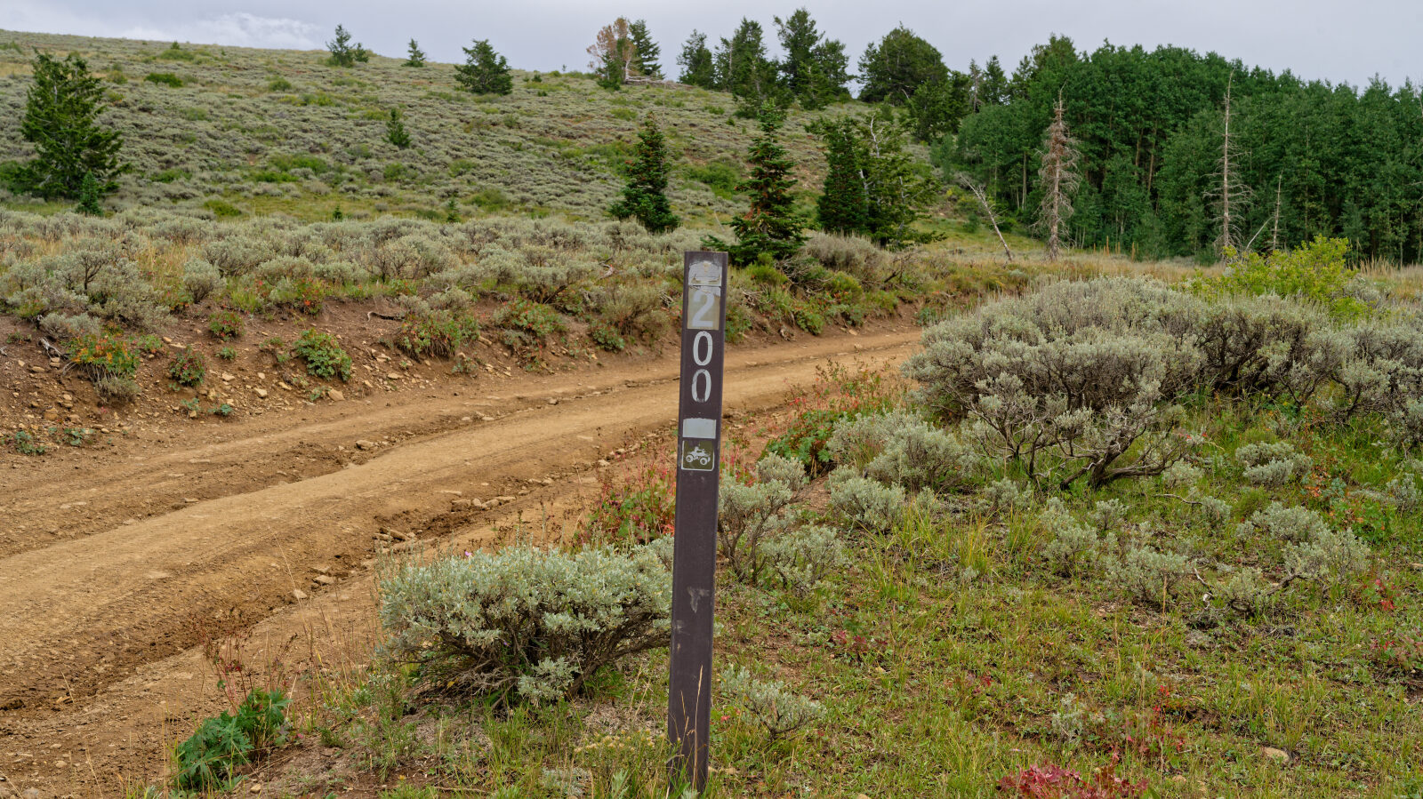 This is the start of trail 10200. The driver first thought it was Strawberry Ridge Road, but the name is to be confirmed.
