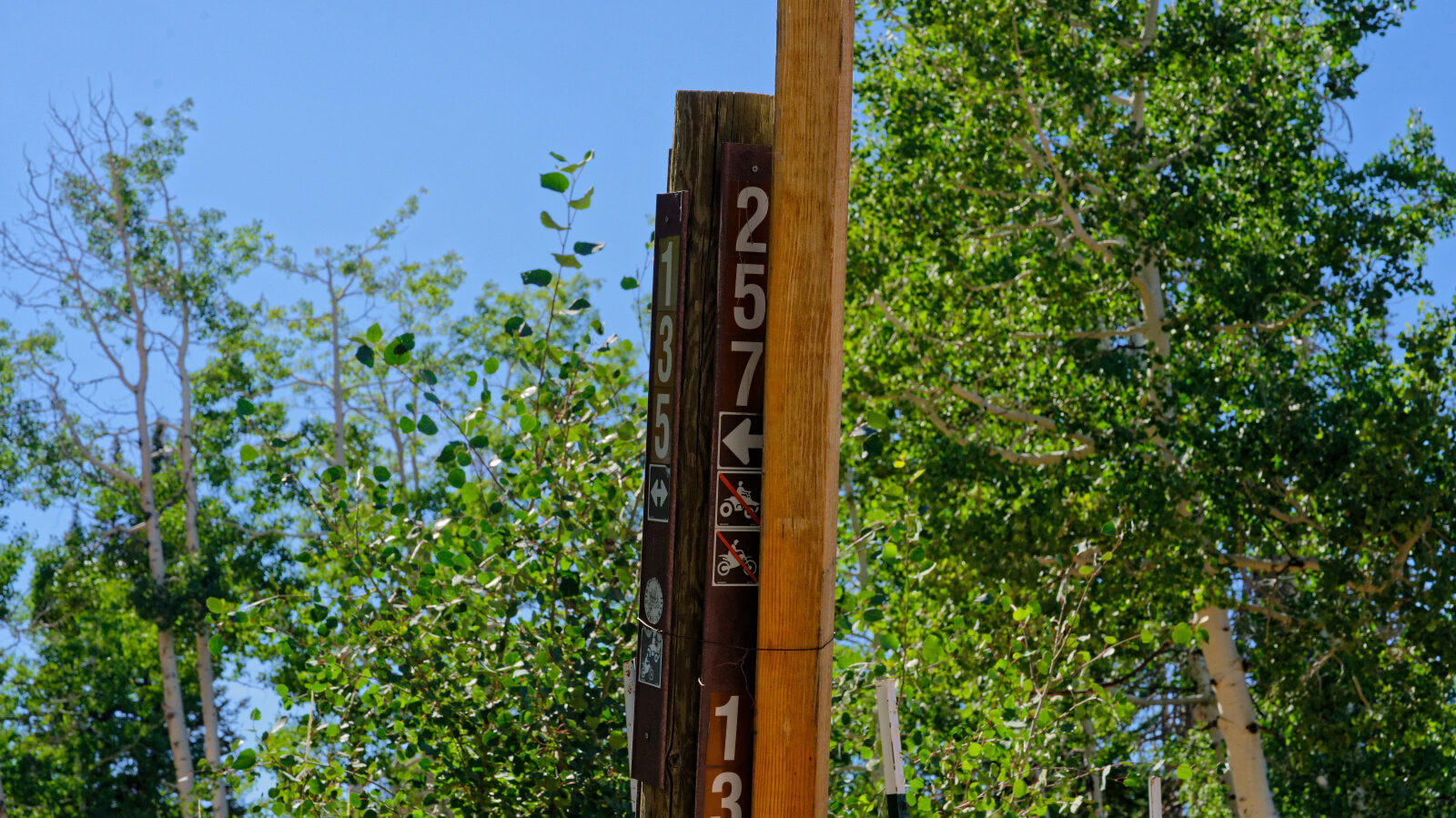 Waypoint 1