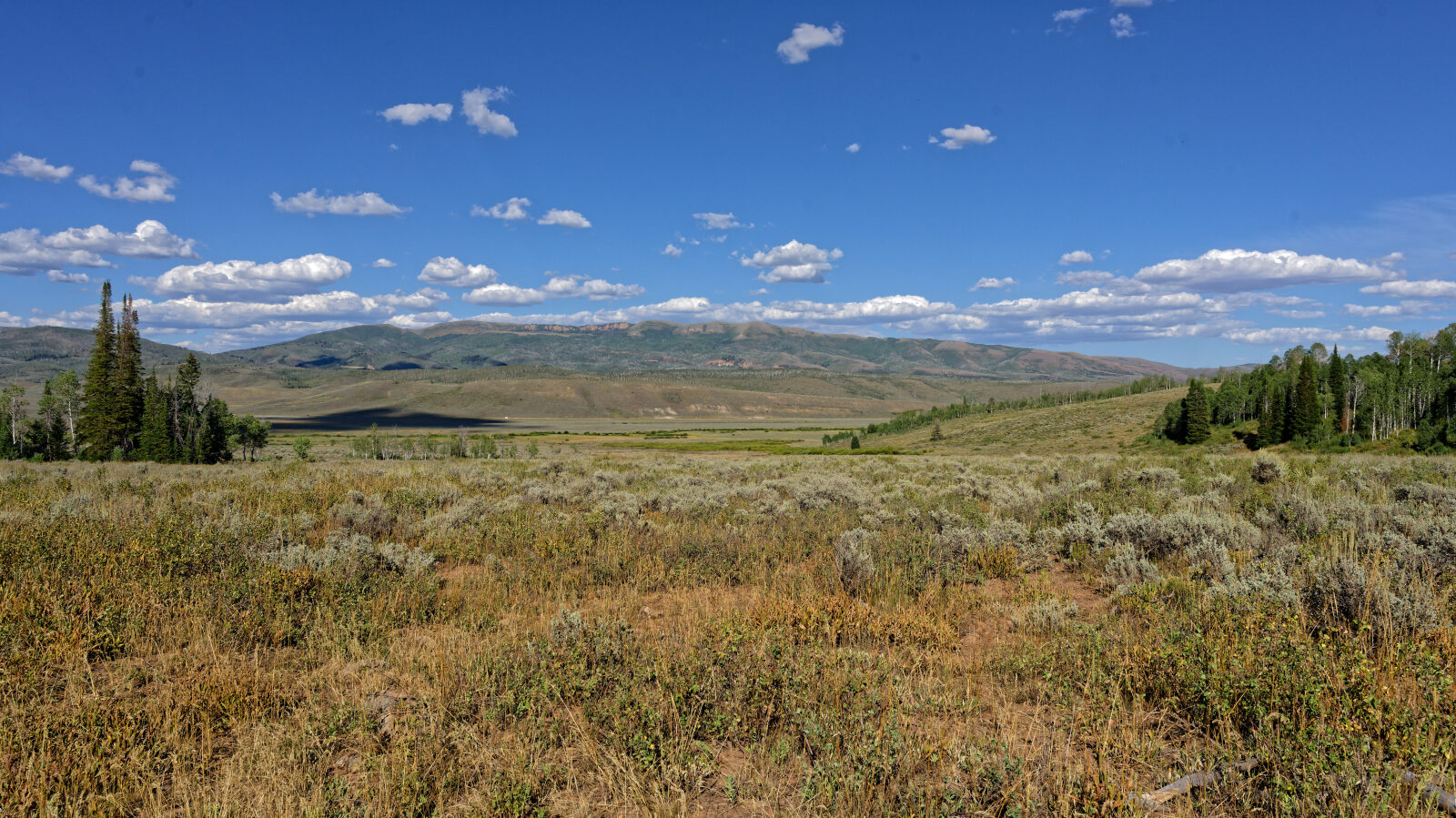 Waypoint 4