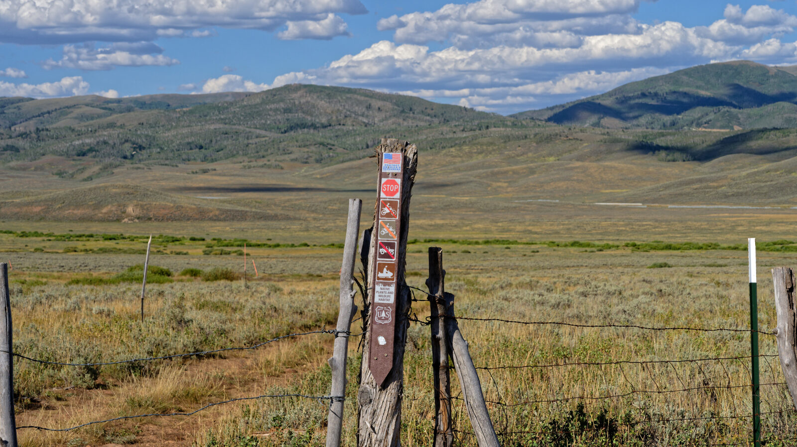 Waypoint 5