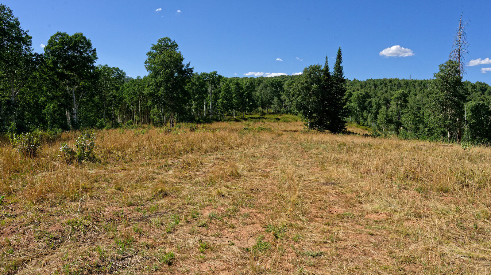 Waypoint 4