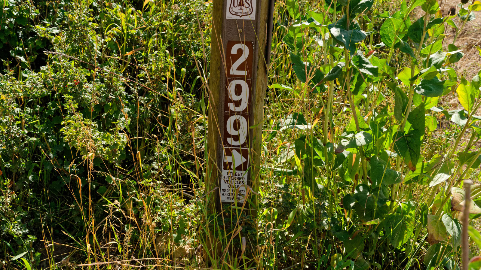 Waypoint 1