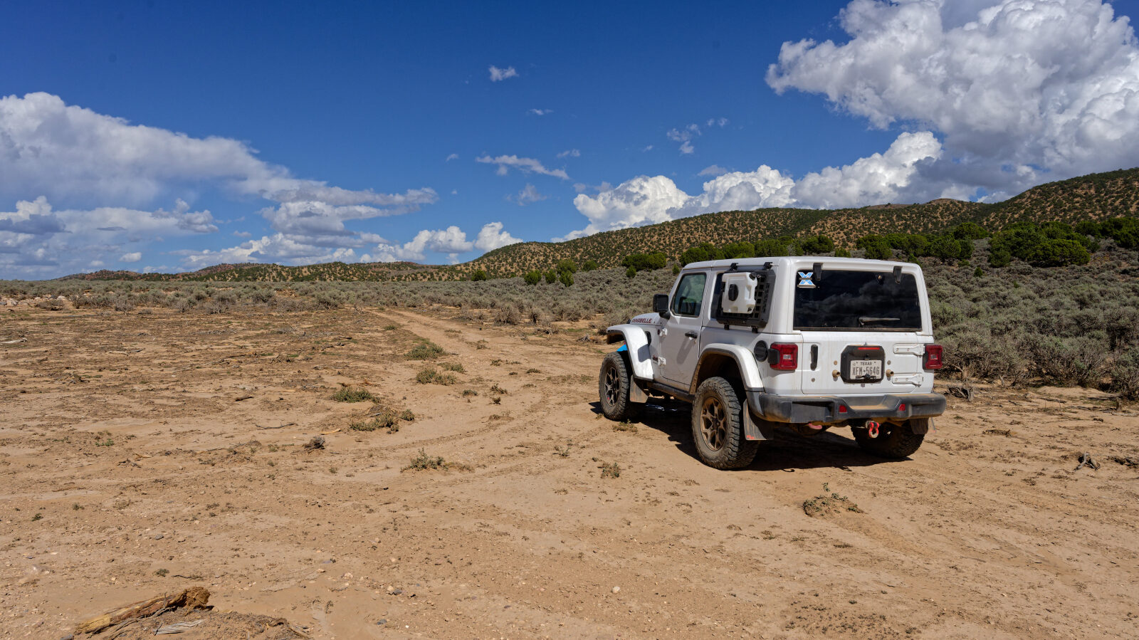 Start of East Loop, Red Hills South Trail Road.