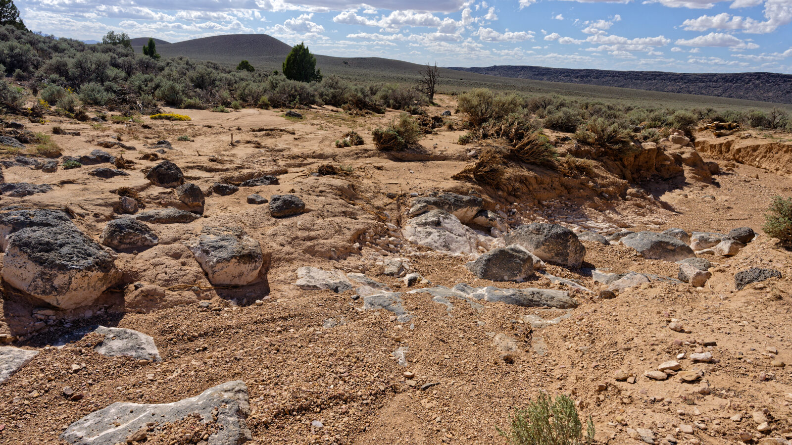 A short wash section, rated Level 3. The trail overall is Level 4.