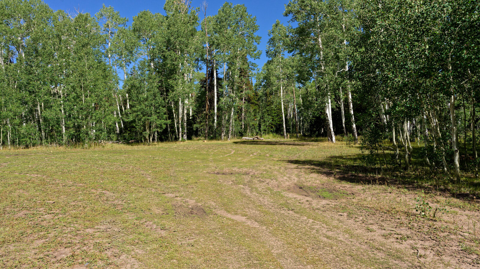 Waypoint 3