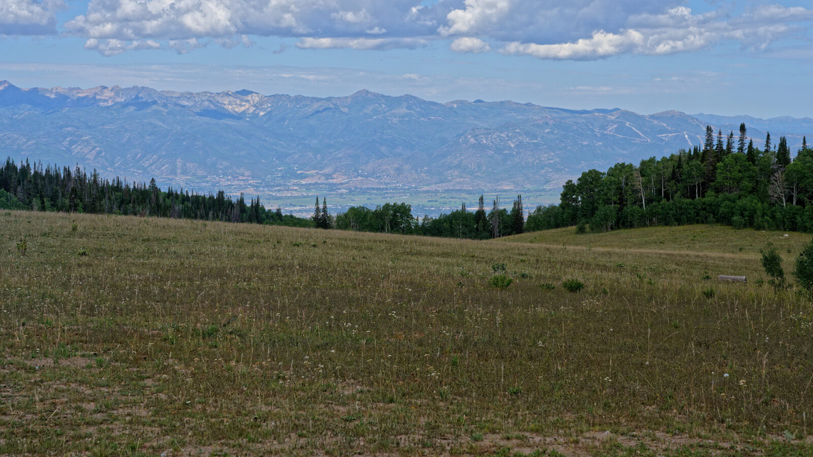 Waypoint 1