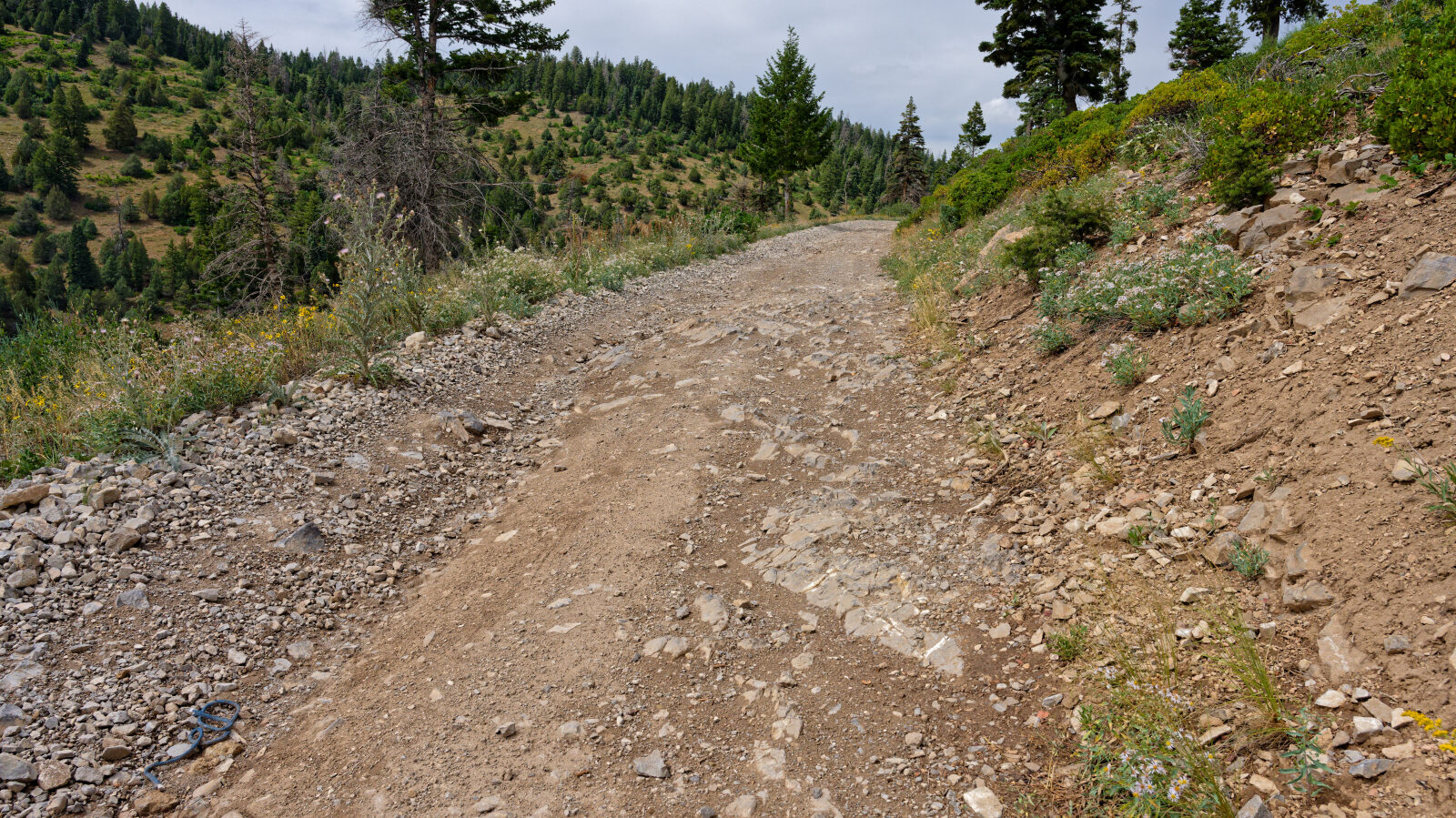 Waypoint 5