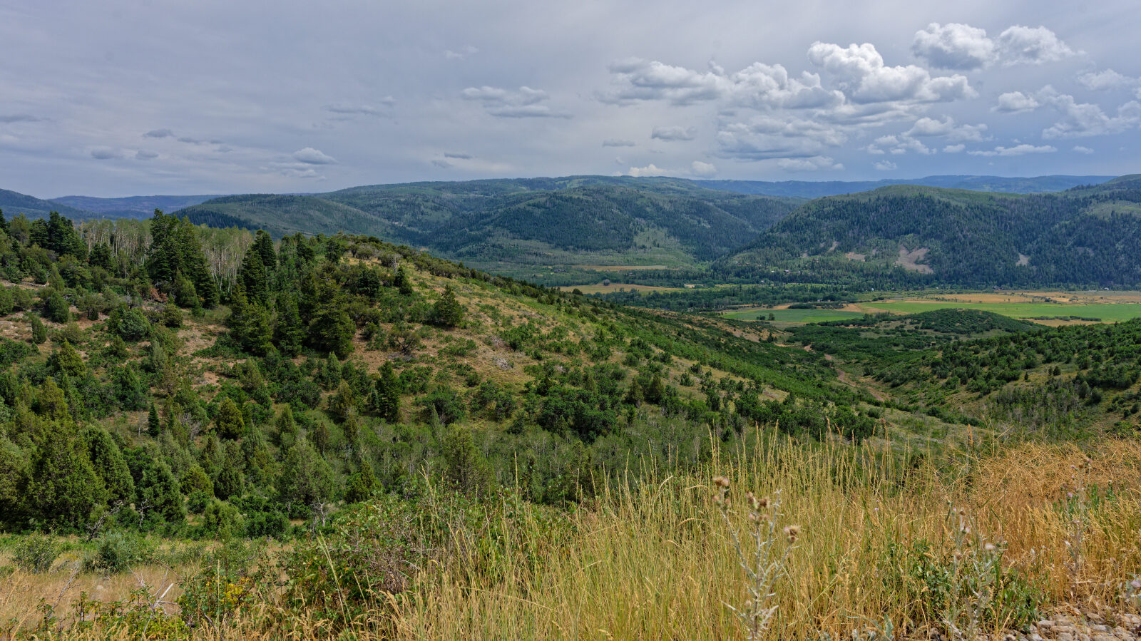 Waypoint 4