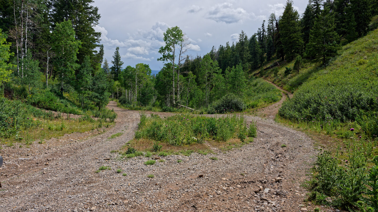Waypoint 6