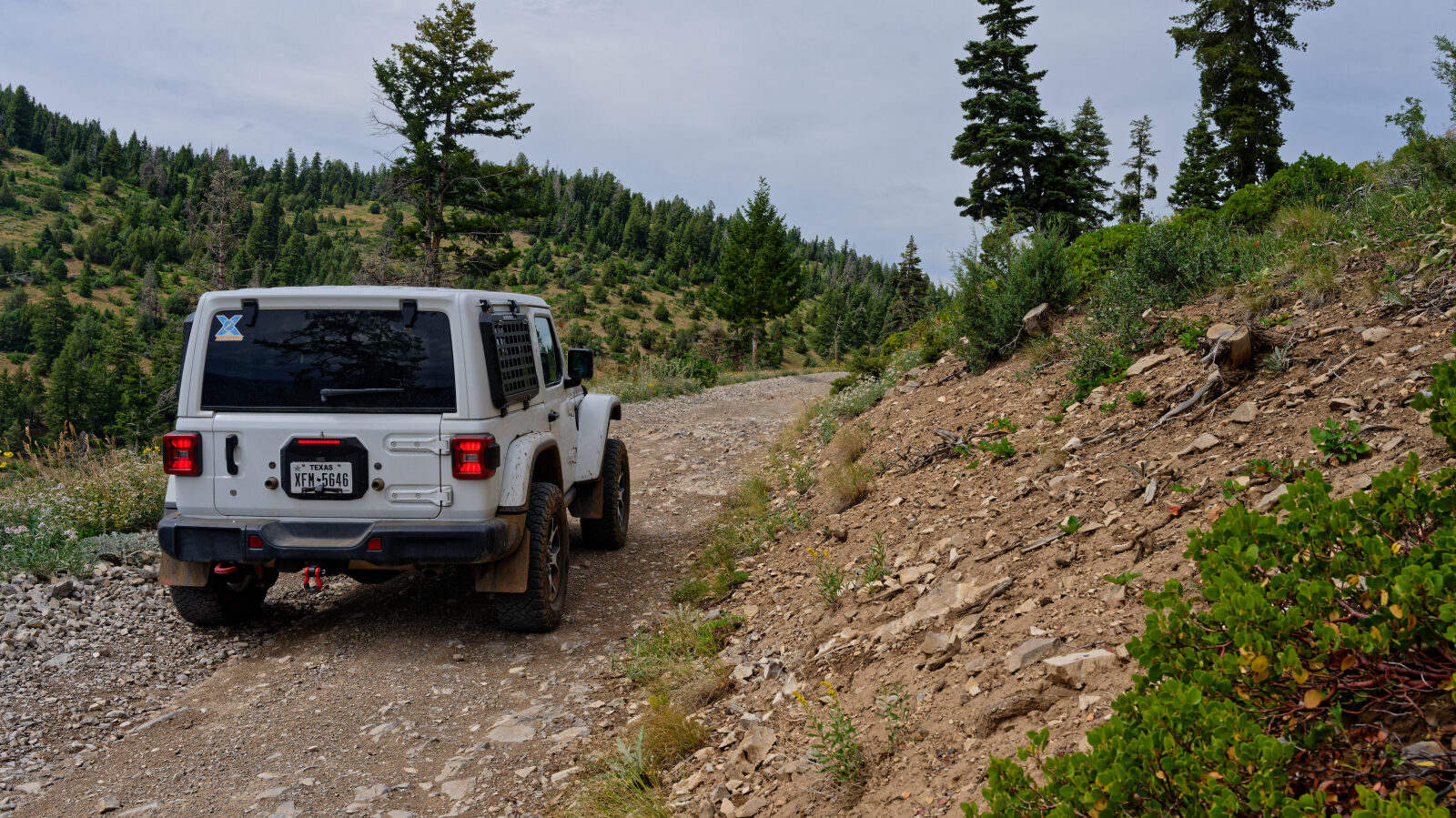 Waypoint 5
