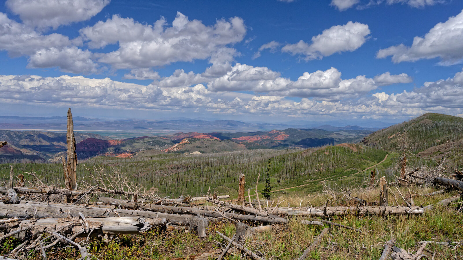 Waypoint 12