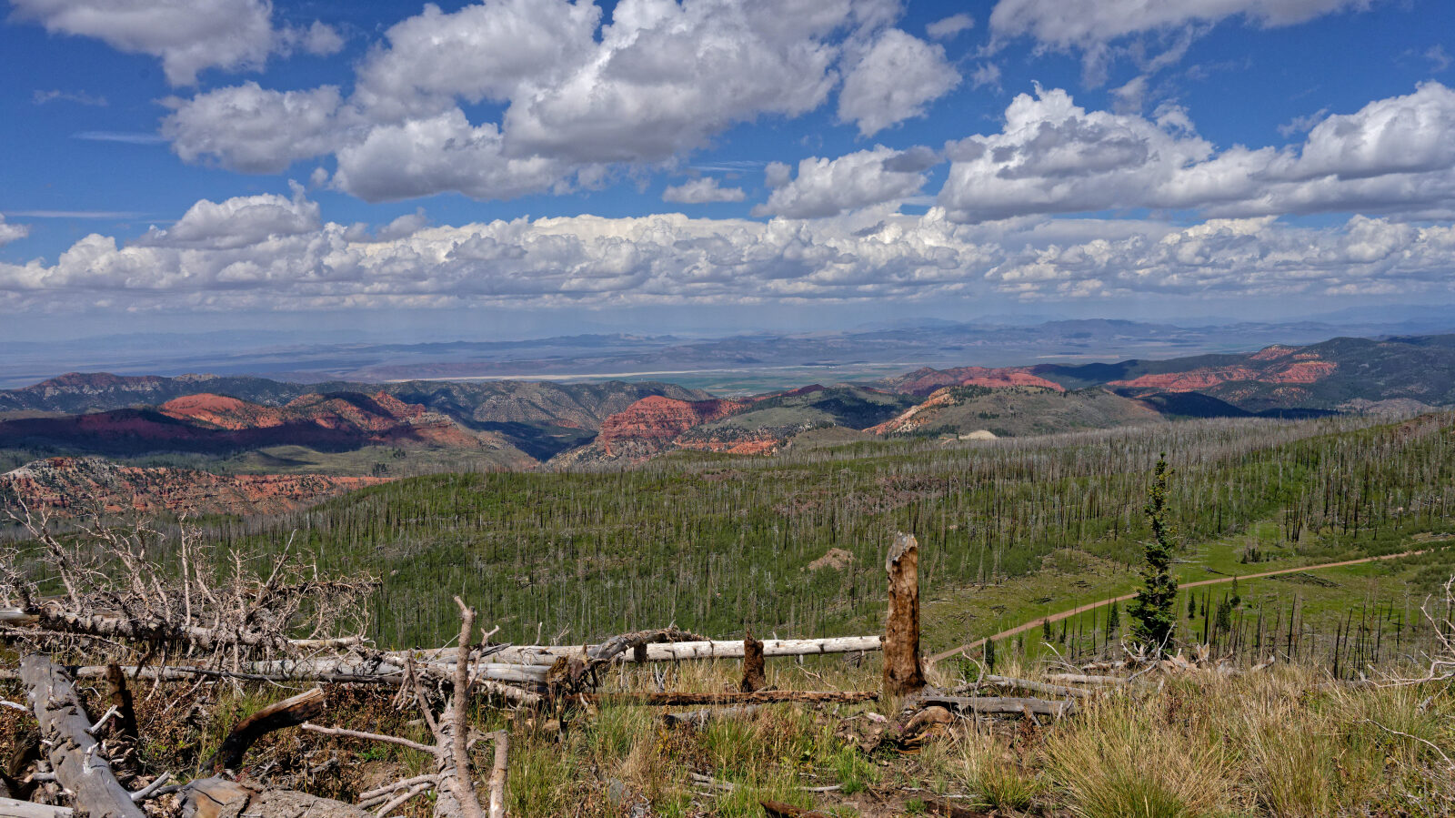 Waypoint 12