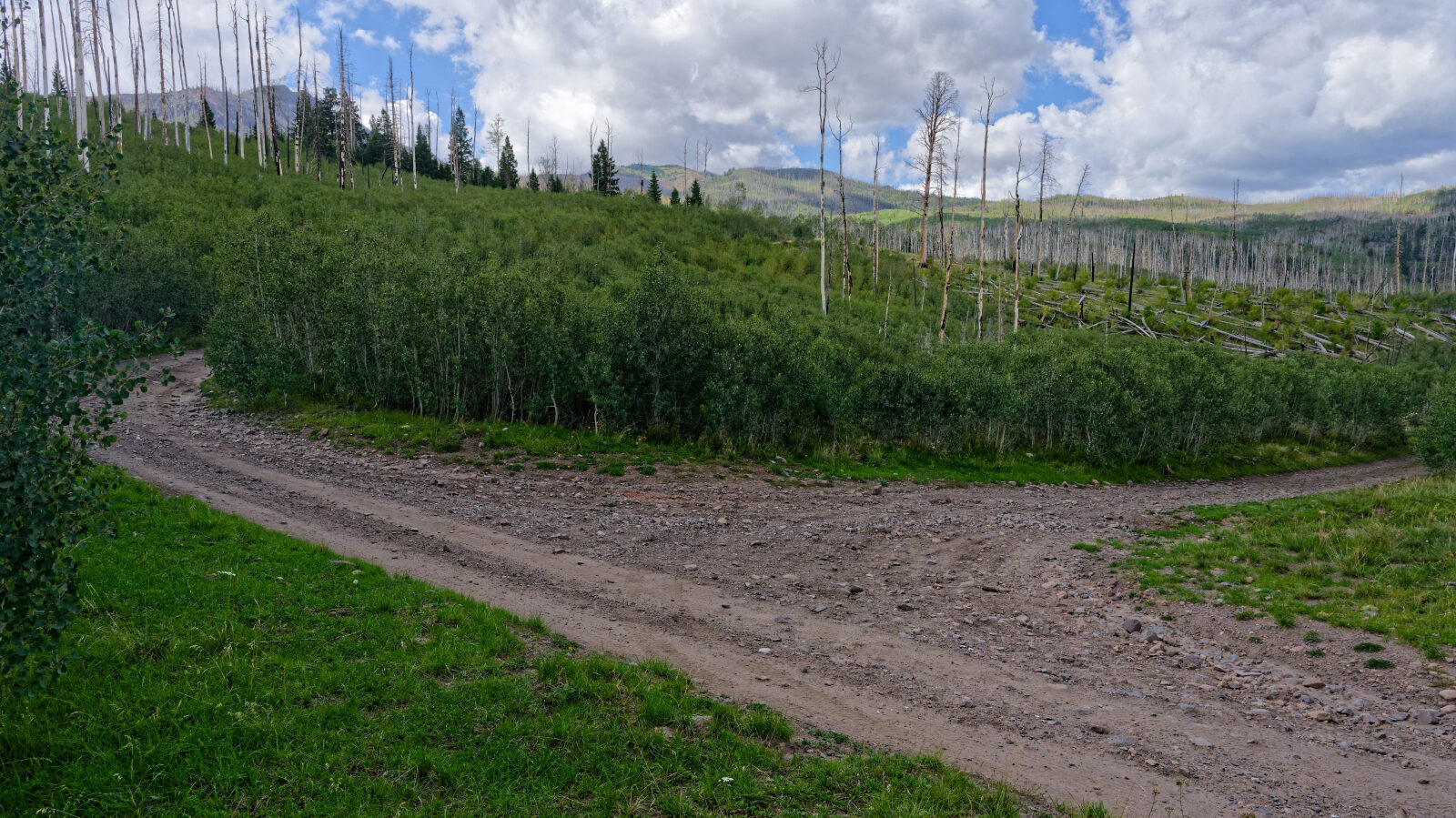 This is the end of the route on 2nd Left Hand Canyon Road. The road continues, but the route goes a different direction.