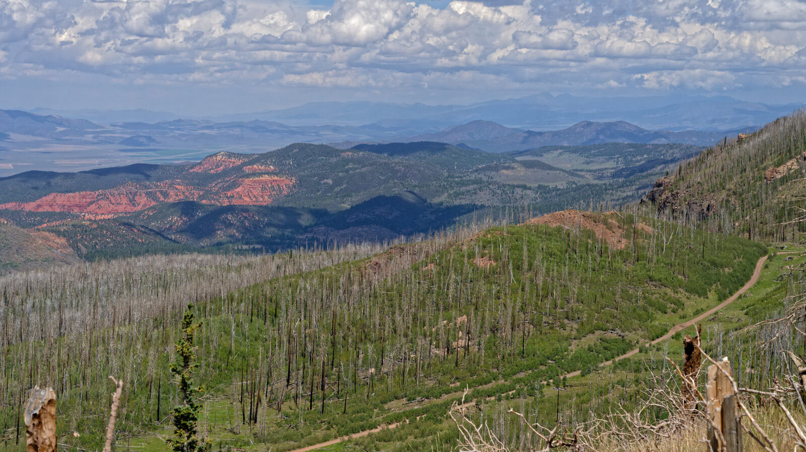 Waypoint 12