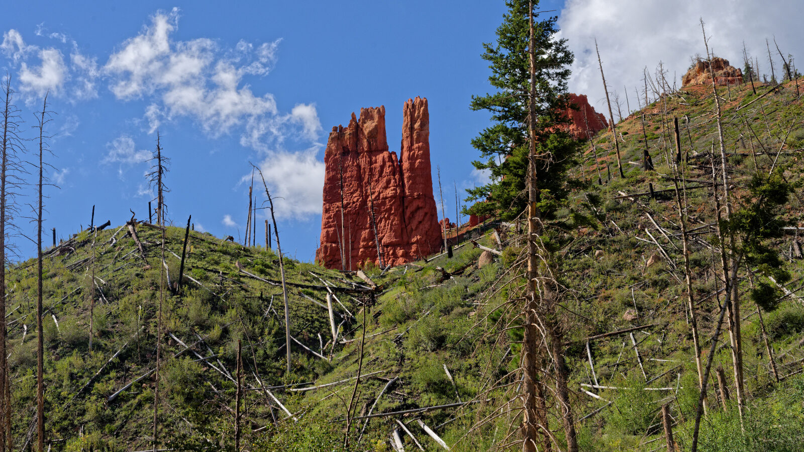 Waypoint 5
