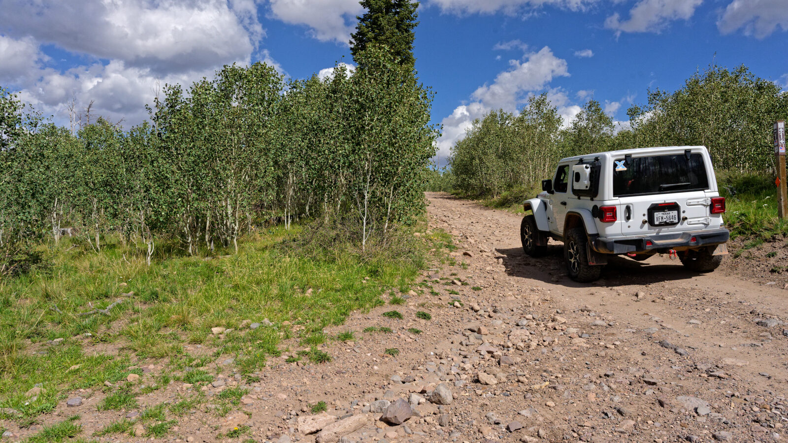 This is the end of the route on 2nd Left Hand Canyon Road. The road continues, but the route goes a different direction.