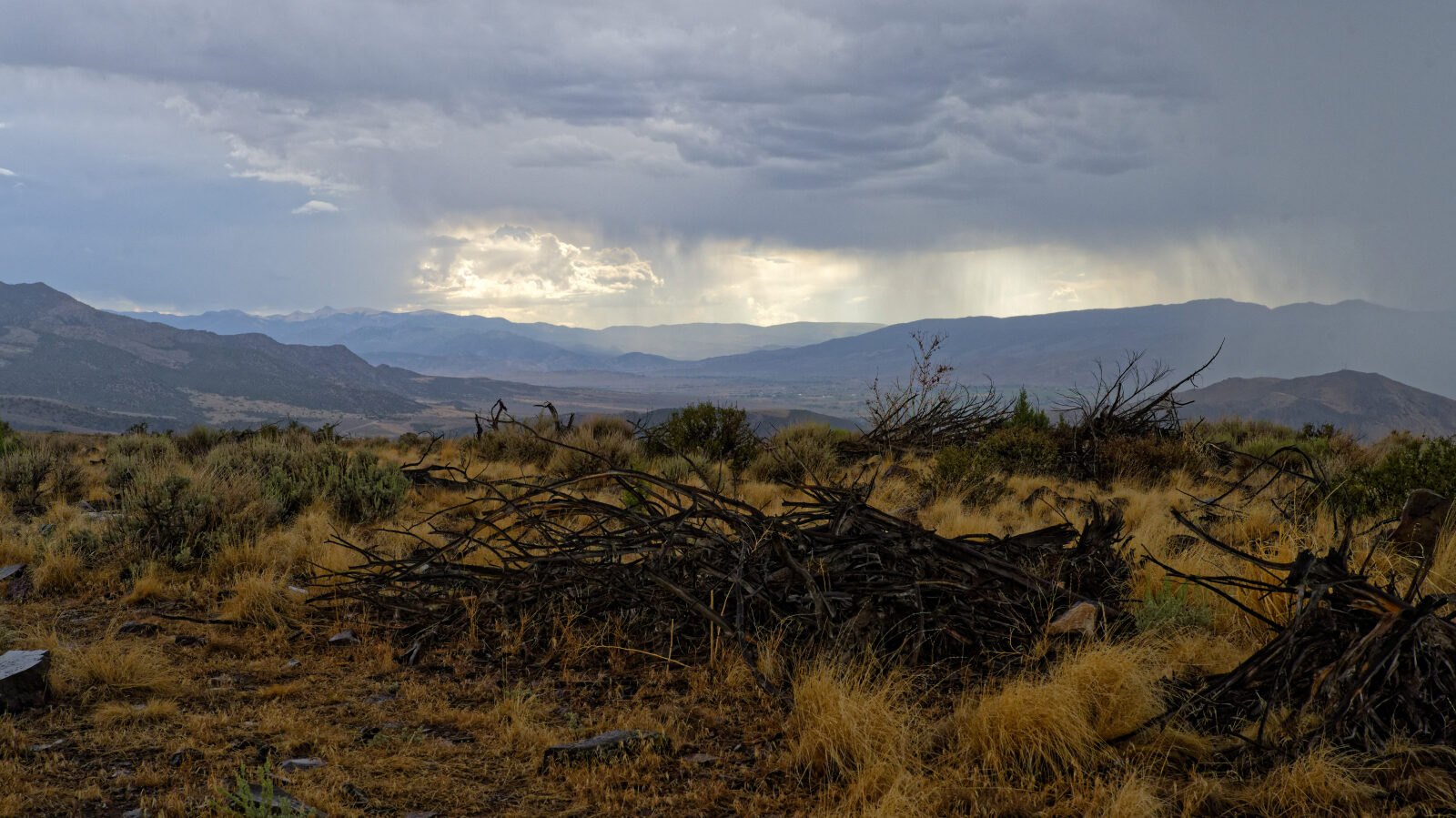 Waypoint 5