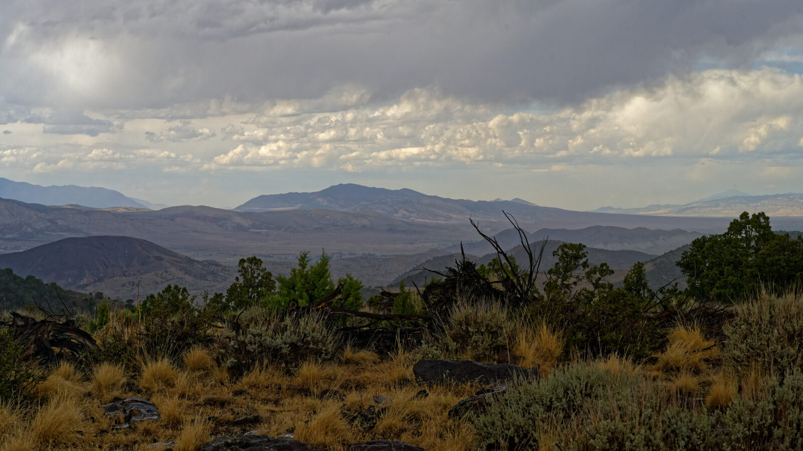 Waypoint 5