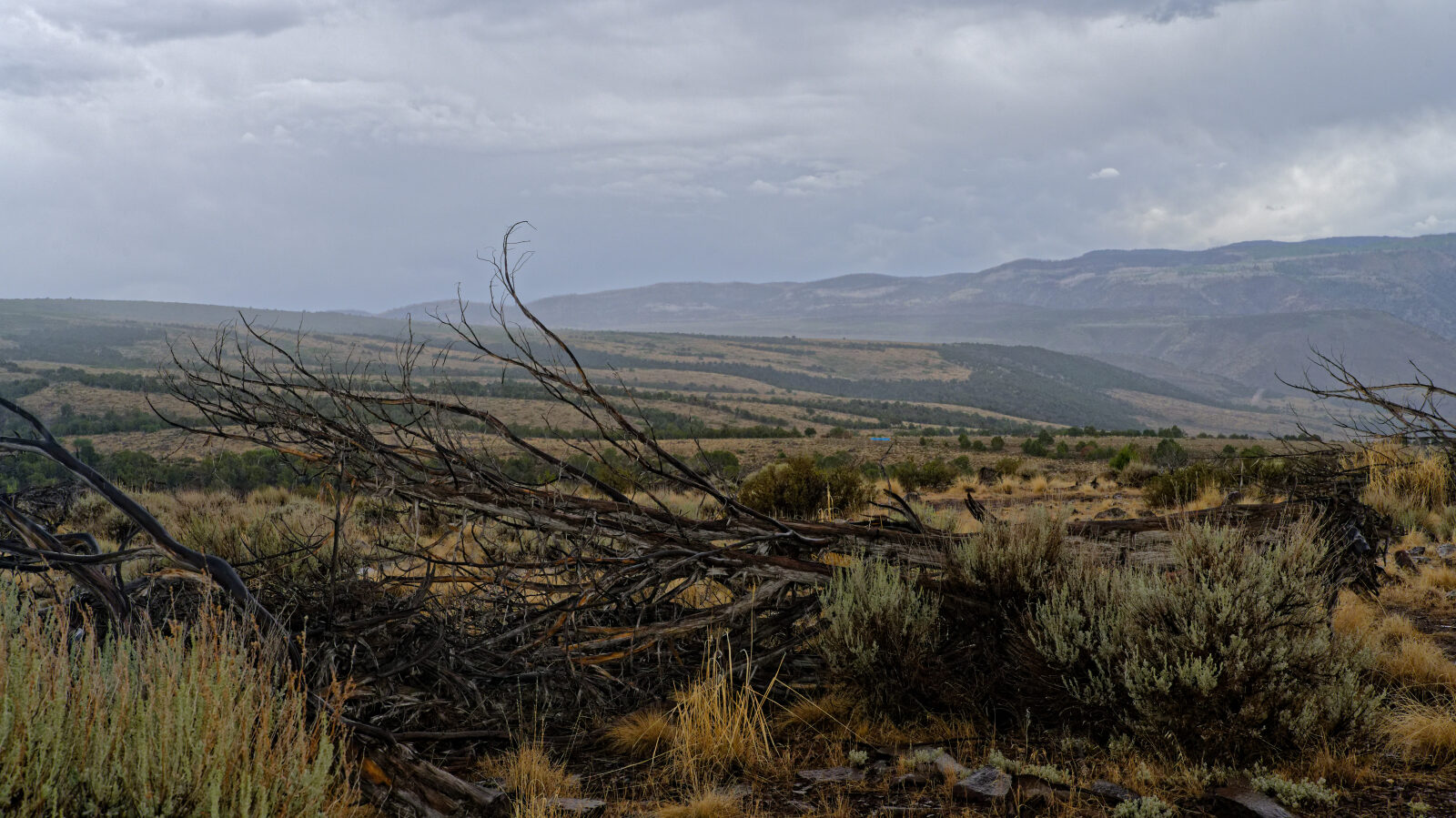 Waypoint 5
