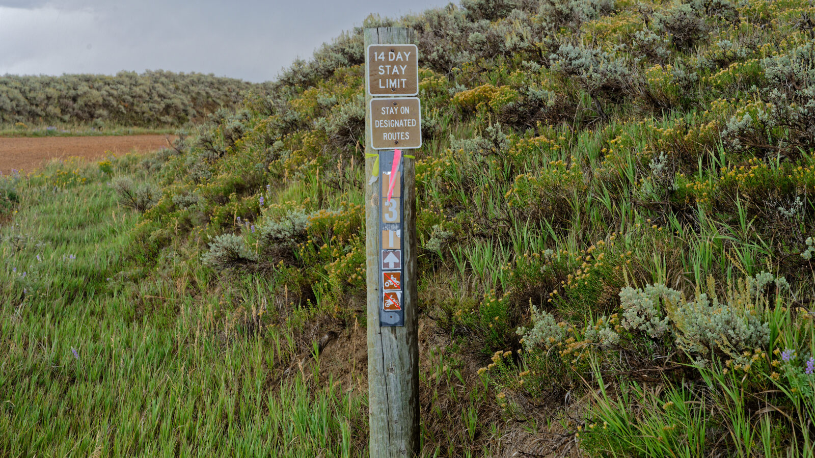 Waypoint 1