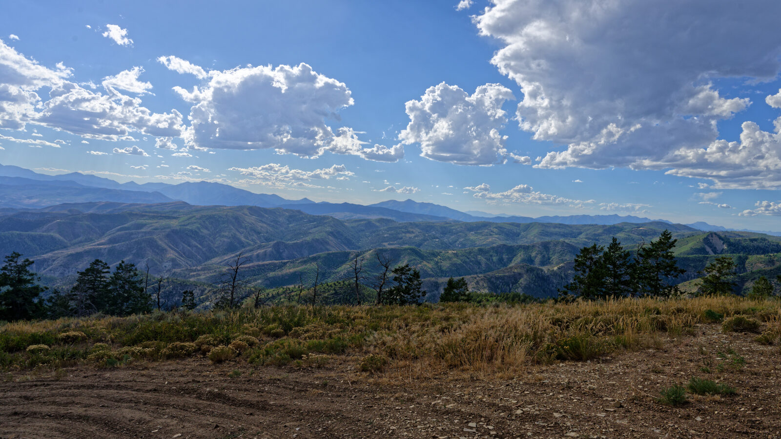 Waypoint 7