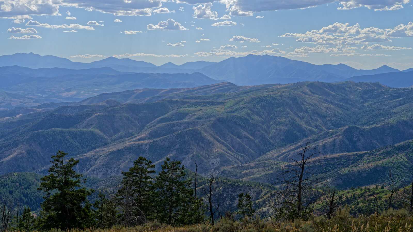 Waypoint 7