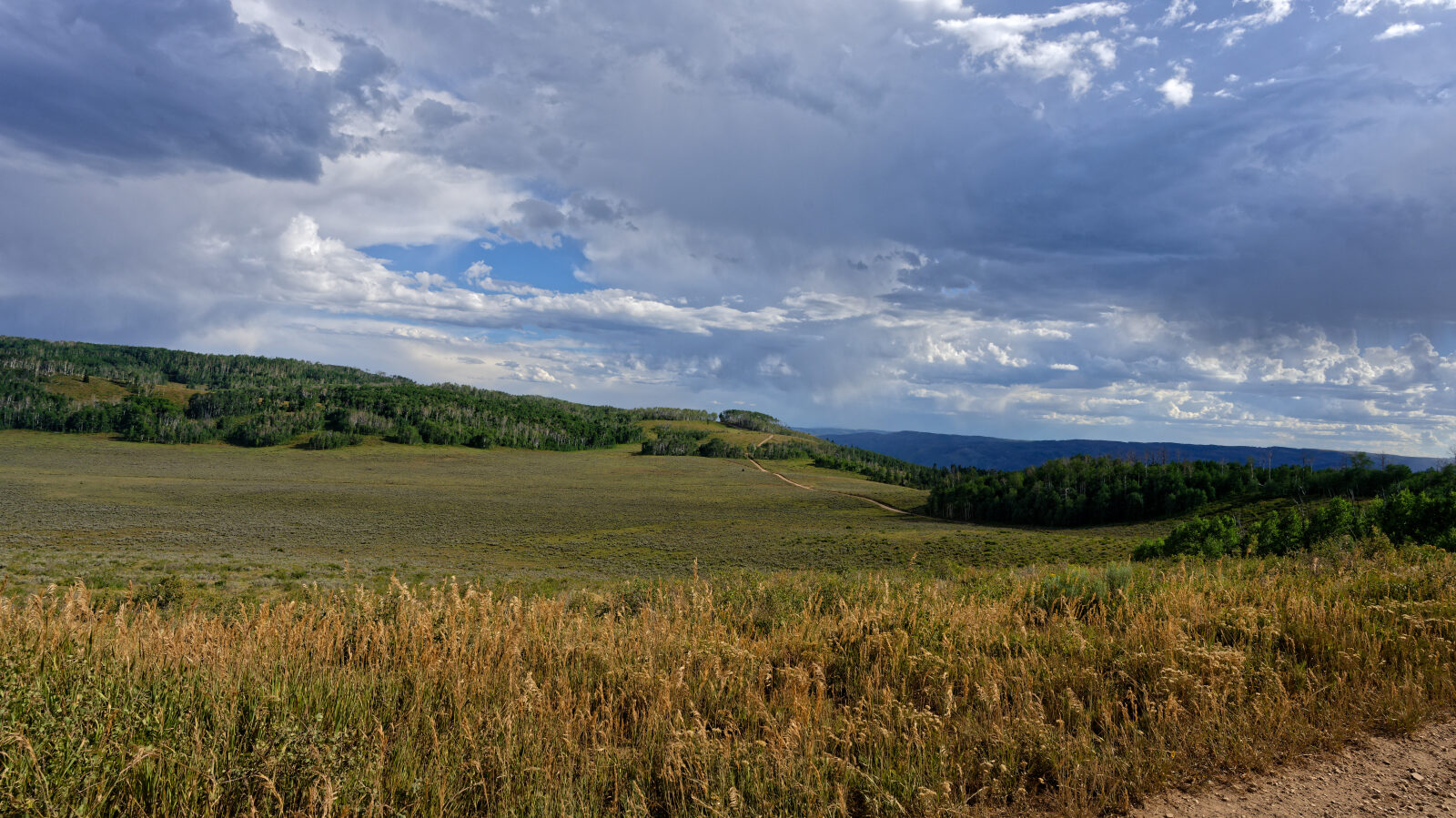 Waypoint 6