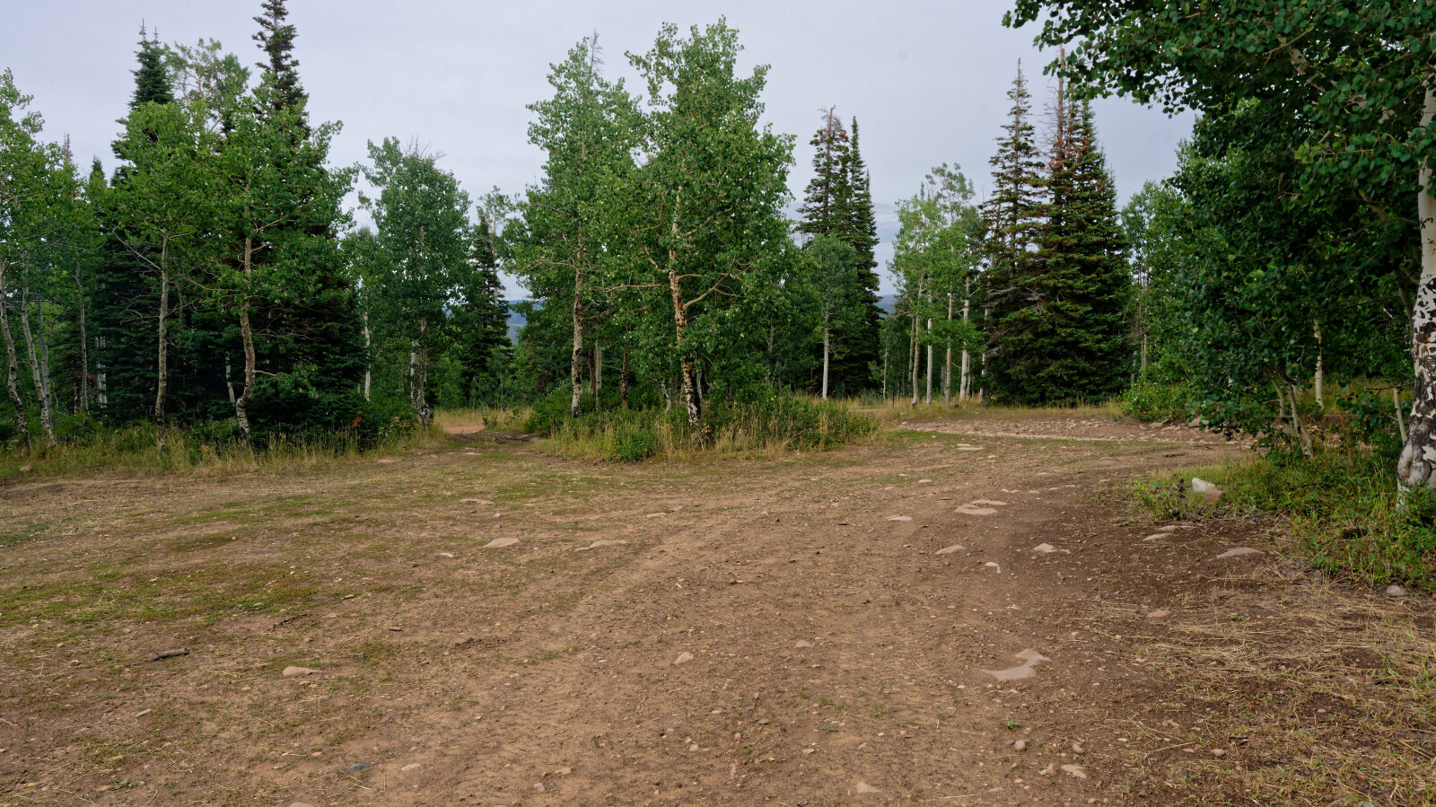 Waypoint 7